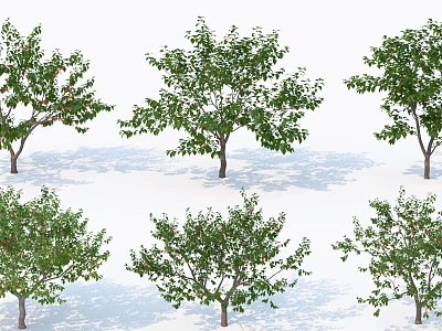Various Arbor Tree Varieties With Green Leaves And Diverse Shapes For Outdoor Landscaping 3d model