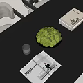 Modern Decorative Ornament Arrangement With Green Moss In Black Bowl And Glass Cup On Tabletop