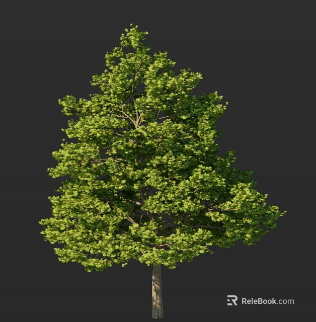 Lush Green Arbor Featuring Dense Foliage Tall Trunk And Green Leaves Isolated on Dark Background 3d model 