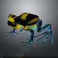 Vibrant Frog With Yellow And Black Body And Blue Legs On Dark Background