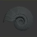 Intricate Spiral Shell Sculpture With Detailed Textured Patterns On Dark Background 3d model