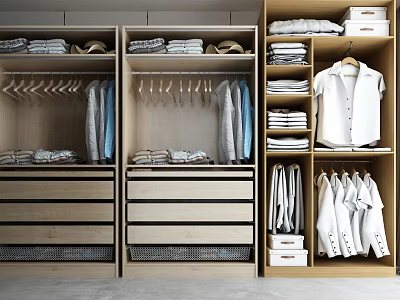 Modern Wooden Wardrobe Interior Design With Hanging Rods Drawers Shelves And Organized Clothes Storage 3d model