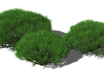 Modern Shrub Landscape Shrub Green Plant Tree Ball 3d model