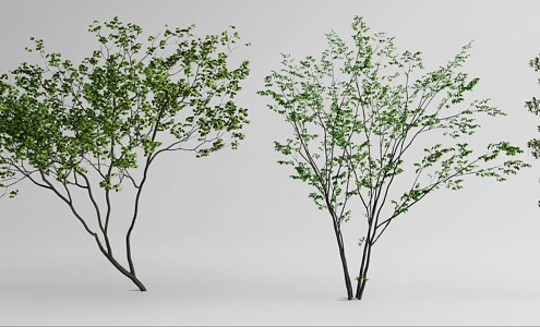 Landscape tree modeling tree 3d model