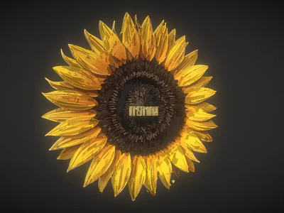 Radiant Sunflower Bloom with Bright Yellow Petals and Dark Center Disc 3d model