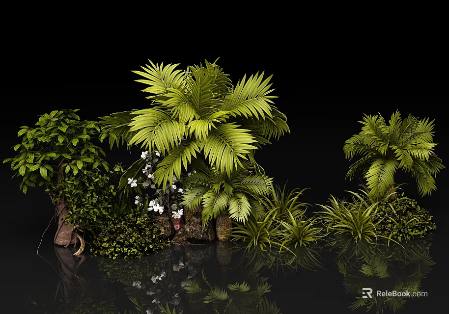 Tropical Green Plants with Palm Leaves and White Small Flowers like Reflections on Black Background 3d model 