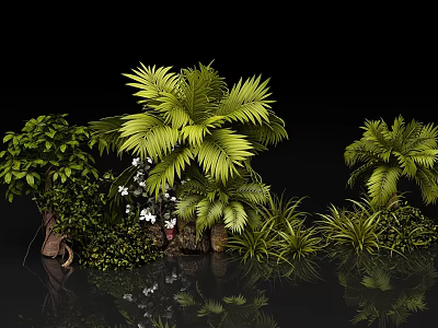 Tropical Green Plants with Palm Leaves and White Small Flowers like Reflections on Black Background 3d model