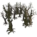 Moss Covered Leafless Trees Scenic View With Blue Sky Over White Snowy Ground