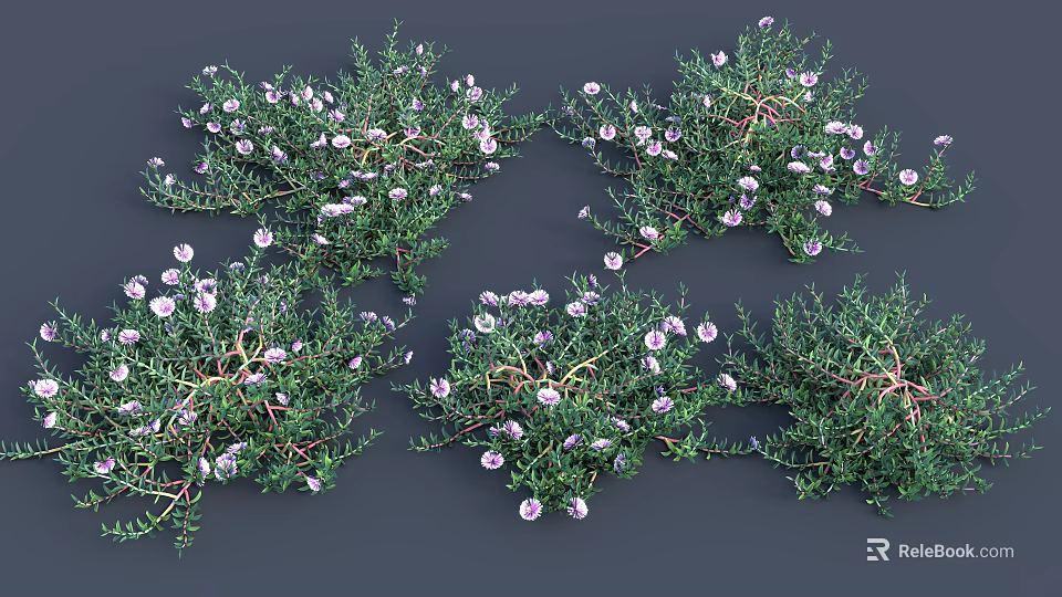 Naturally Growing Green Foliage With Pink Small Flowers Densely Distributed On Grey Background 3d model 