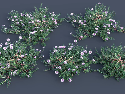 Naturally Growing Green Foliage With Pink Small Flowers Densely Distributed On Grey Background 3d model