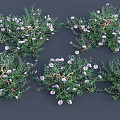 Naturally Growing Green Foliage With Pink Small Flowers Densely Distributed On Grey Background