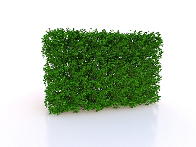 Green plant wall model