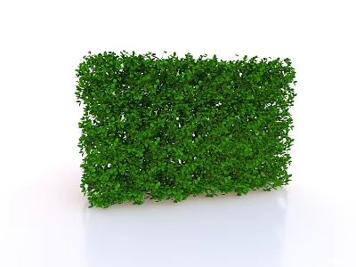 Dense Green Living Plant Wall With Lush Foliage For Indoor Outdoor Decor 3d model