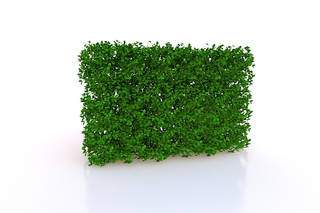 Green plant wall 3d model