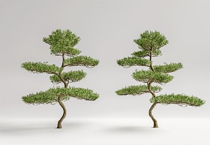 Modern Pine Tree Landscape Pine 3d model