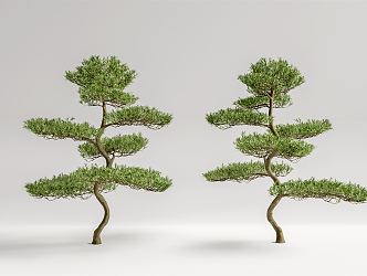 Modern Pine Tree Landscape Pine 3d model