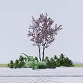 Arbor With Pink Flowers Two Trunks Surrounded By Green Shrubs And Plants On White Ground