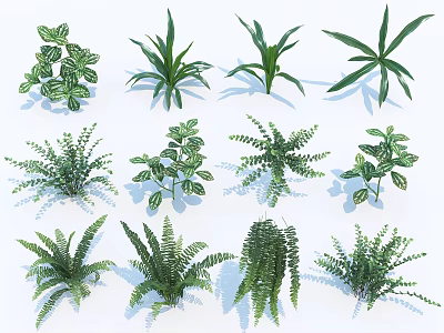 Green Plants With Various Types And Diverse Leaf Shapes For Decoration 3d model