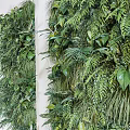 Indoor Green Plant Wall With Lush Foliage And Various Plant Species