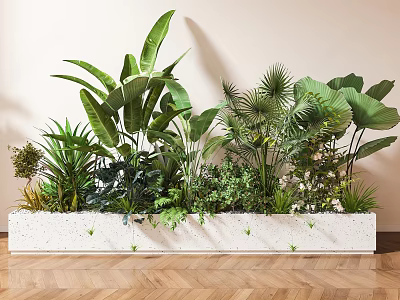 Indoor Potted Green Plants in White Long Planter with Various Large Leaves and Wooden Floor 3d model