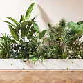 Indoor Potted Green Plants in White Long Planter with Various Large Leaves and Wooden Floor