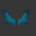 Black Bird With Symmetrical Feathery Wings On White Background And Reflection