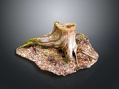 Natural Weathered Wooden Tree Stump With Green Moss And Wood Chips Soil 3d model