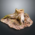 Natural Weathered Wooden Tree Stump With Green Moss And Wood Chips Soil