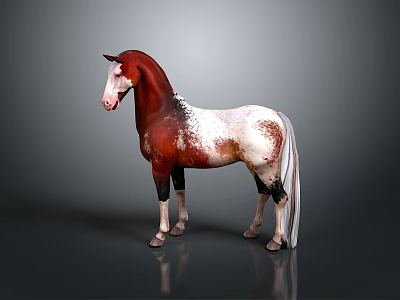 Brown and white horse standing against dark background with visible reflection 3d model