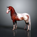 Brown and white horse standing against dark background with visible reflection