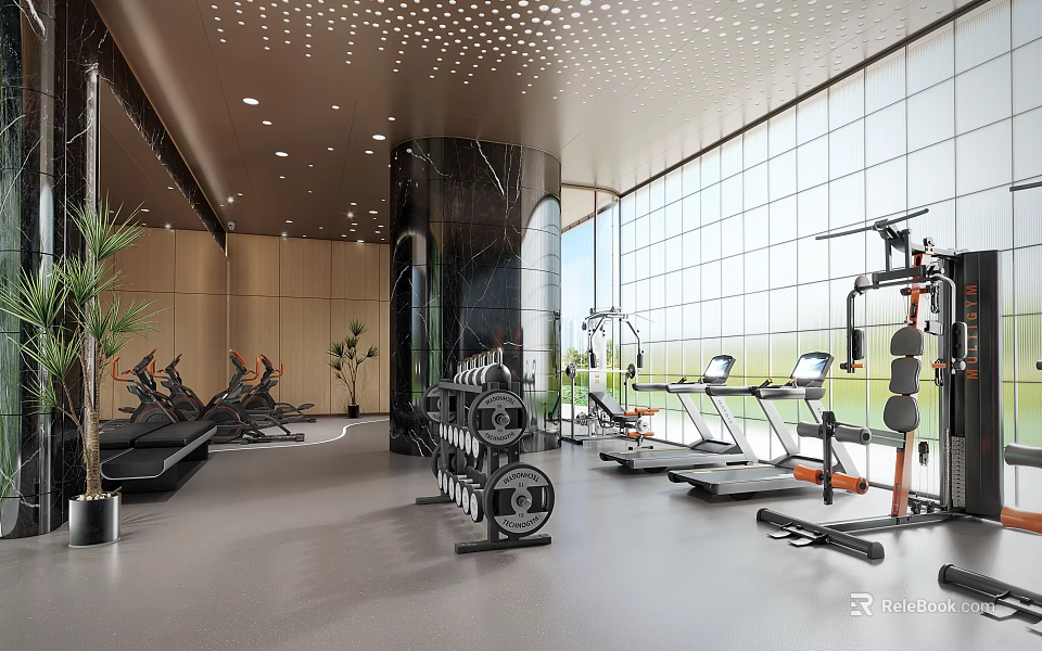 Modern Open Gym With Floor to Ceiling Windows Fitness Equipment Treadmills Dumbbells and Green Plants 3d model 