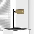 Modern Black Floor Lamp with Golden Mesh Shade Near White Window Blinds
