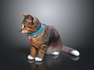 Tabby Cat With Blue Collar Red Bell And White Paws On Black Shiny Surface 3d model