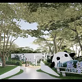Park Design With Curved Paths Playground Greenery And Circular Landscaped Areas
