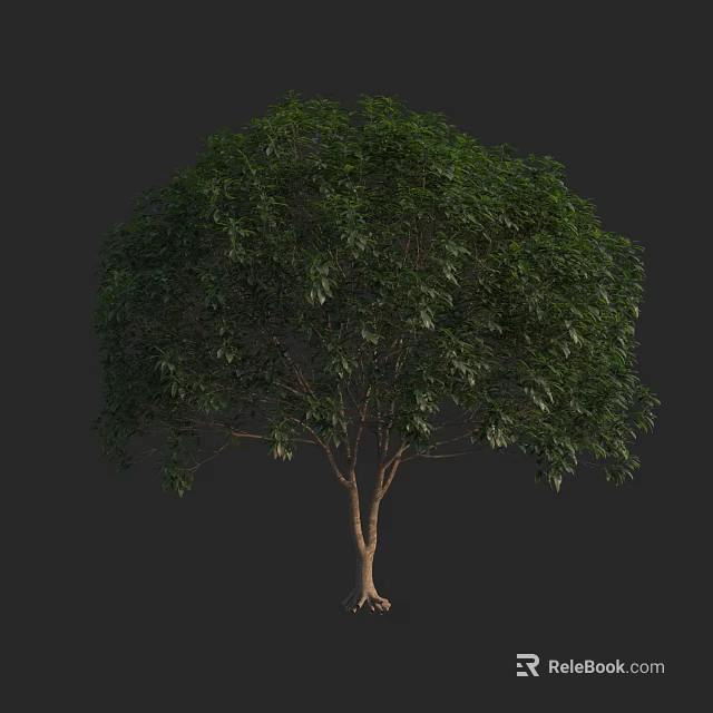Lush Green Tree With Dense Foliage Brown Trunk Visible Roots Against Dark Background 3d model 