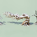 Snow Covered Arborescent Trees With Twisted Branches On Light Green Background 3d model