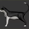 Black And White Cat With Green Eyes Standing On Gray Background