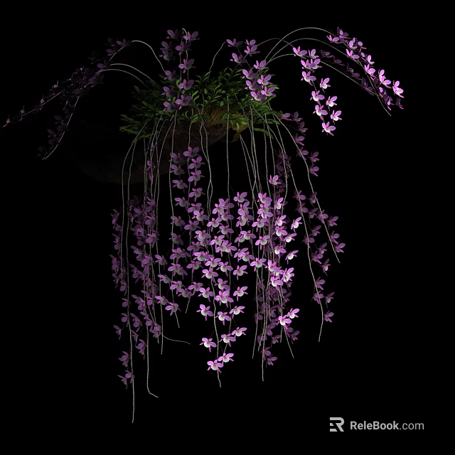 Vibrant Purple Hanging Flowers With Lush Trailing Blooms On Black Backdrop 3d model 