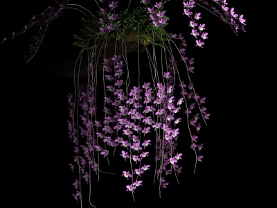 Vibrant Purple Hanging Flowers With Lush Trailing Blooms On Black Backdrop 3d model
