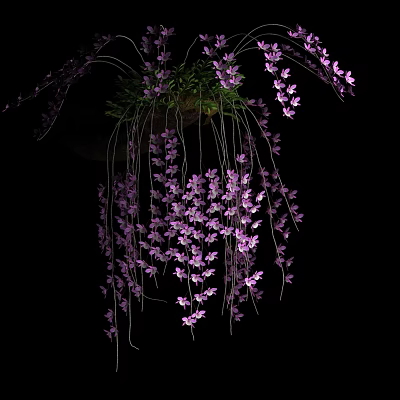 Vibrant Purple Hanging Flowers With Lush Trailing Blooms On Black Backdrop 3d model