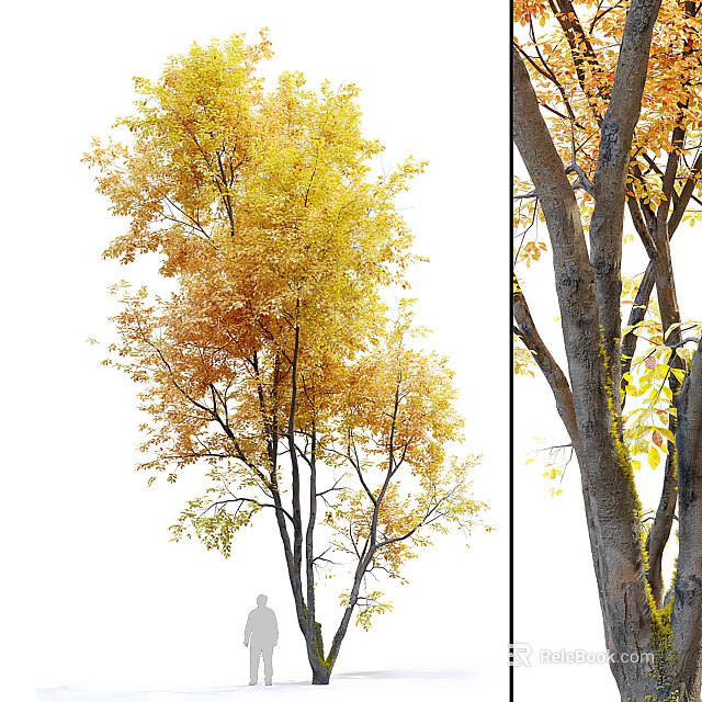 Tall Autumn Arbor Featuring Yellow Orange Leaves And Thick Textured Trunk 3d model 