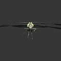 Dragonfly With Green Eyes Black And Yellow Striped Body And Black Wings On Light Background