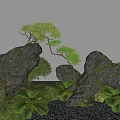 Miniature Garden Landscape With Large Rocks Small Pine Tree Green Plants Grass And Gravel