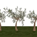 Landscape Plants Trees Ornamental Trees 3d model