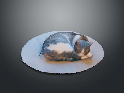 Gray And White Cat Curled Up Sleeping On Soft Round Mat With Dark Background 3d model