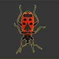 Vibrant Red And Black Spotted Beetle With Detailed Legs On Dark Background