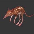 Aardvark with Brown and White Stripes Long Snout Big Ears and Slender Legs