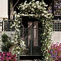 Residential Landscape With Iron Gate Flower Arch White Flowers Green Vines And Surrounding Colorful Plants