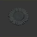 Gray Sunflower 3D Model With Detailed Petals And Central Seed Pattern On Dark Background