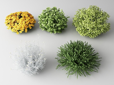 Modern shrubs model